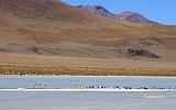 BOLIVIA 2 - Ruta de Las Joyas - Laguna Kanapa - 28